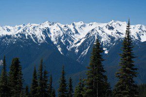 Hurricane Ridge