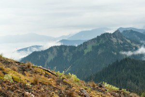 Hurricane Ridge: always on the must-see list