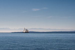 Prettiest sailboat I've ever seen. 