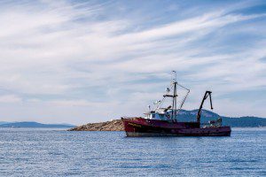 Fishing trawlers were out in full force