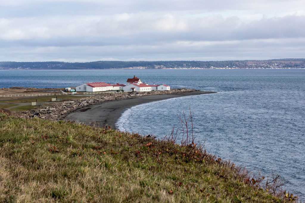 Buildings out on the spit