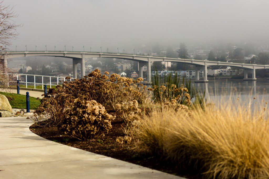 The Manette bridge