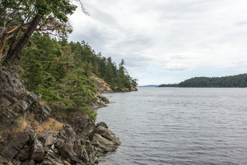 Rocky shoreline