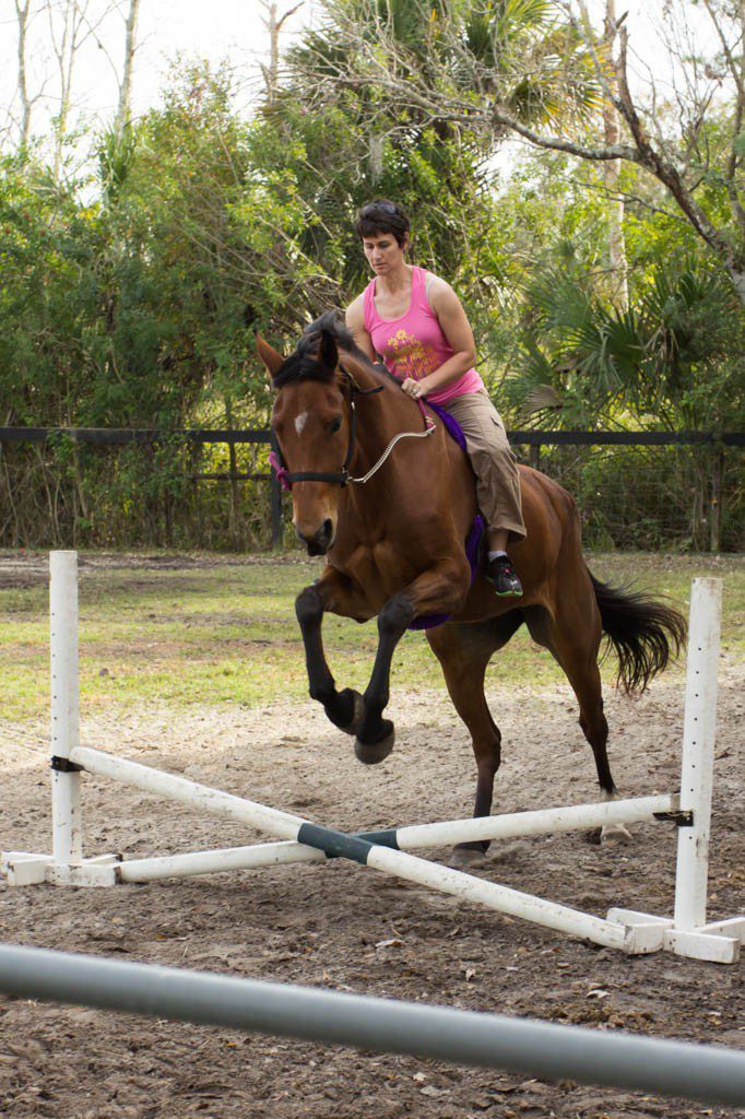 ...and I jumped something! bareback. with only a halter. Have I mentioned that I've never jumped a horse before? I'm glad she knew what that little fence thingie was for...