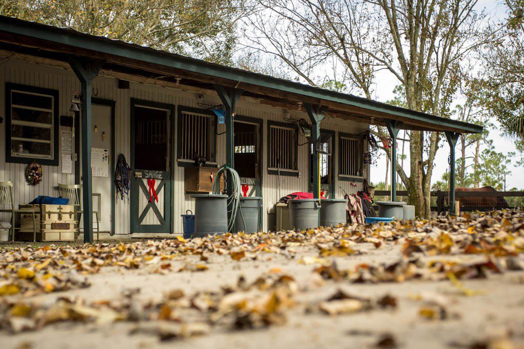 The cute little barn with 3 stalls.