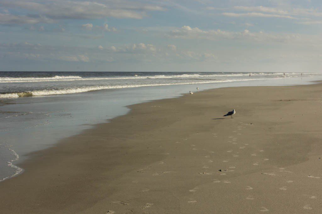 This is the longest beach I've ever seen... the one in Melbourne is like 20' long...