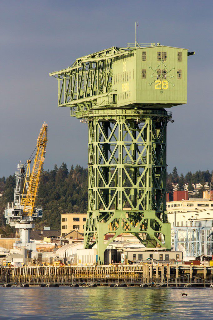 The big hammerhead crane