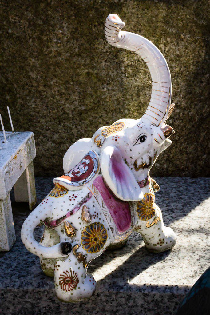 Little elephant at a small shrine