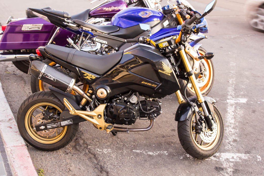 Love these little bikes! Honda Grom for those who care!