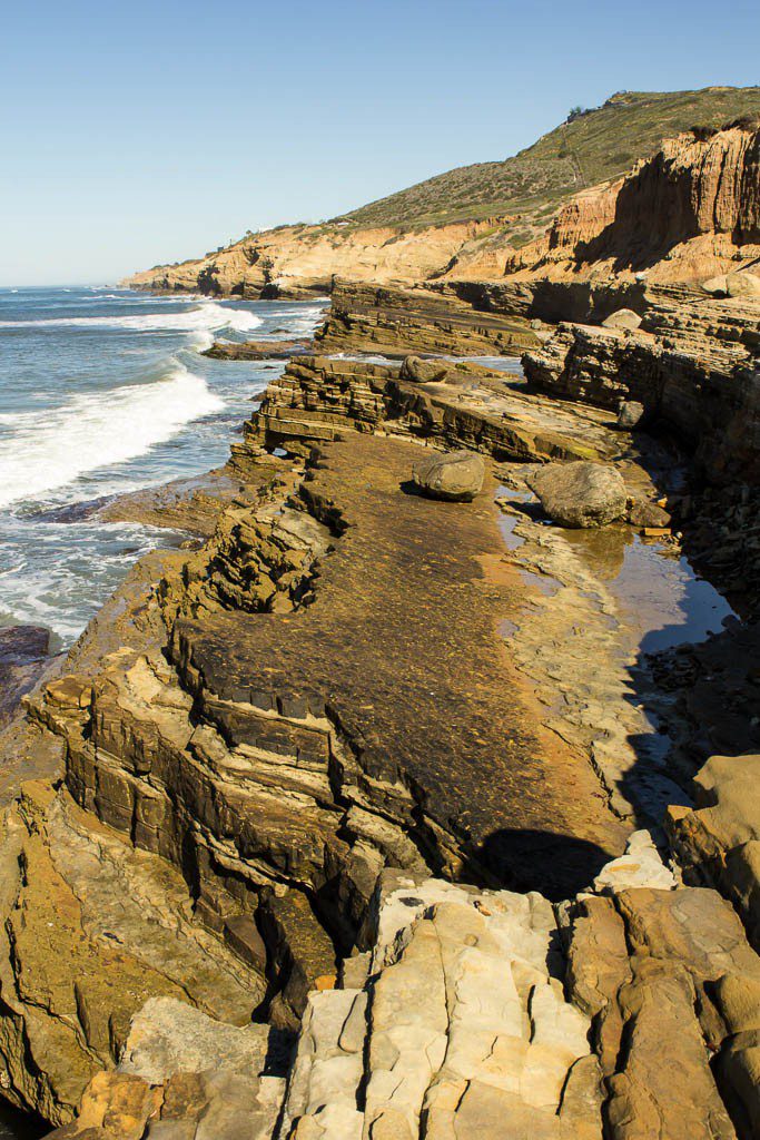 Way less sea life in the tide pools than up in Washington