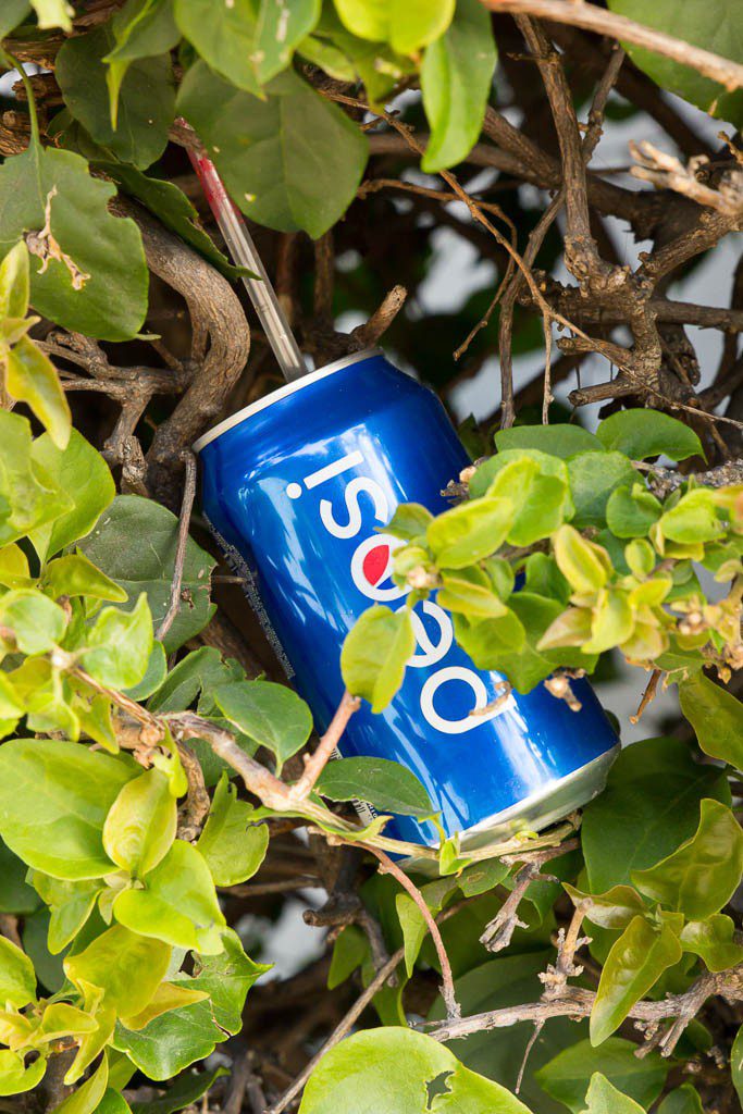 Pepsi can in a tree.  No idea why. Also no idea why I took a photo of it. 