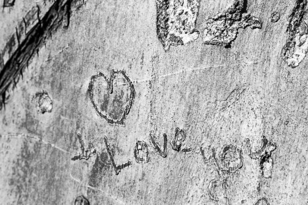 I love you too random tree carving person