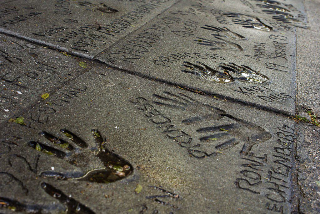 Should have used the reflections more, but I didn't want to sit on the wet pavement. 