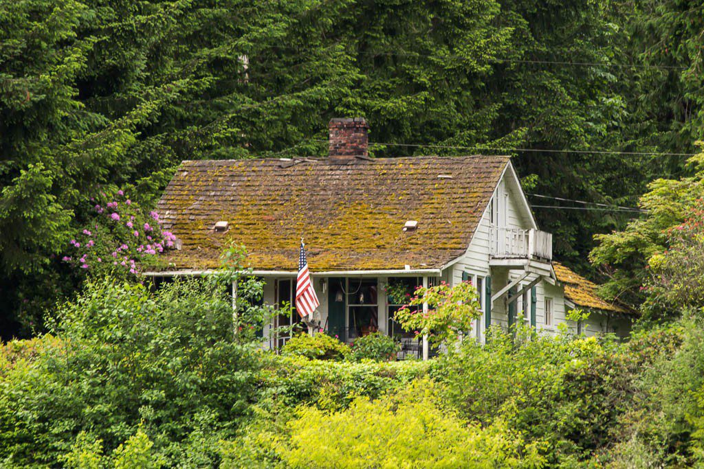 Old cabin with moss on the roof. Shouldn't someone tell him it's damaging his shingles?