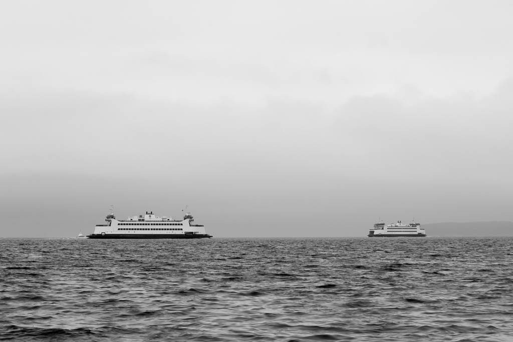 Dueling ferries in the fog