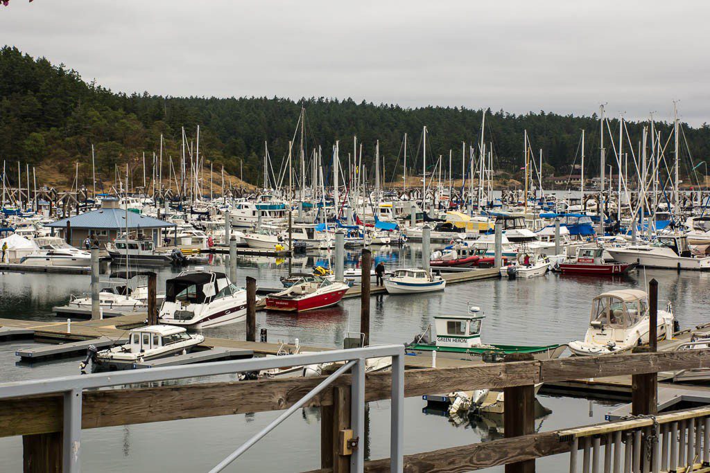 Friday Harbor Marina. Pretty jam-packed for the holiday weekend and fishing season!