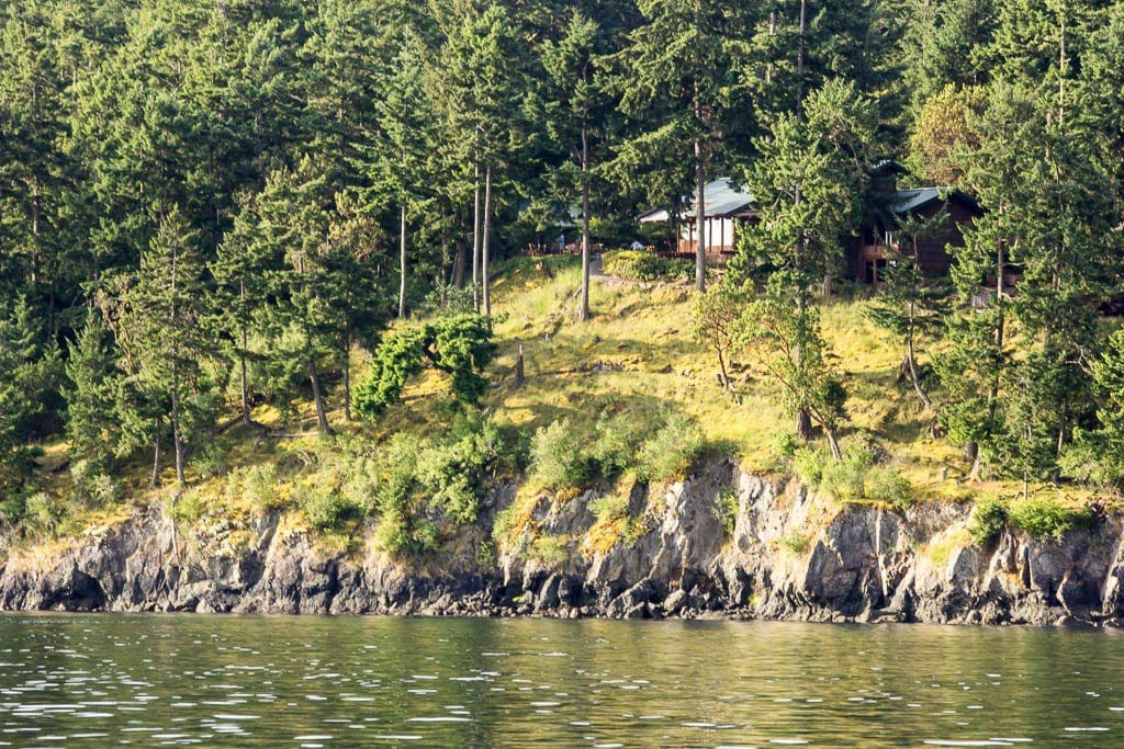 Cute little waterfront cabin nestled into the trees. 