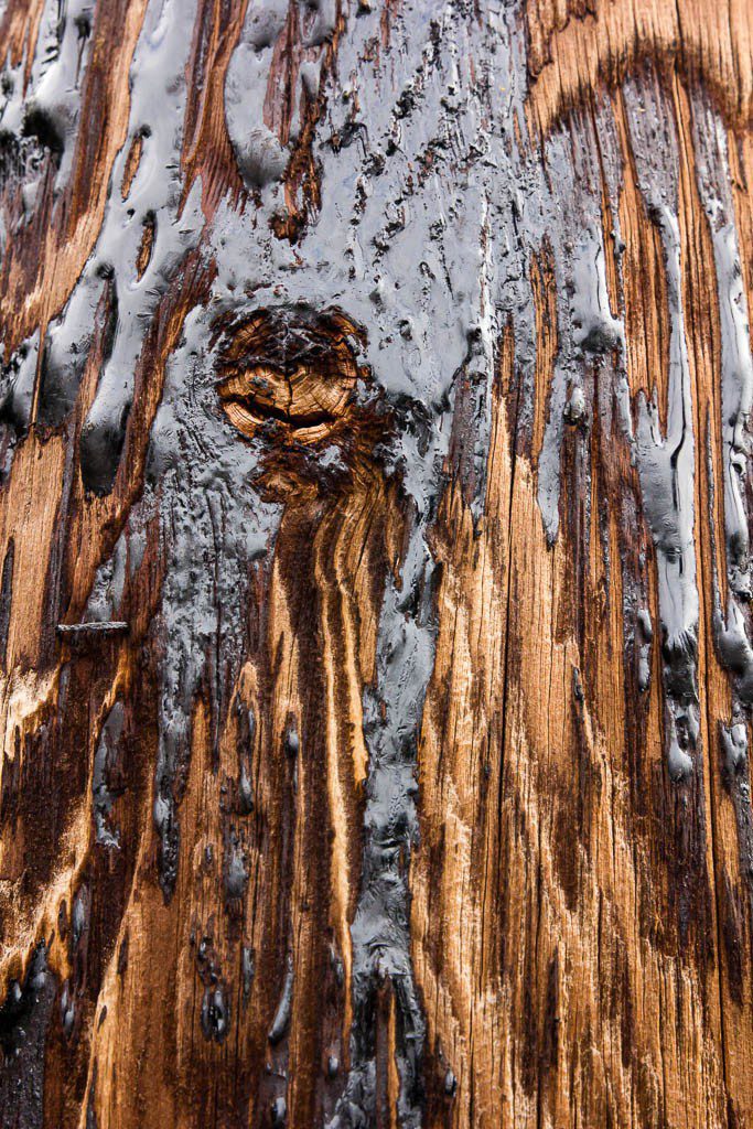 Fascinating tar on the pilings. I know I take photos of really random shit...