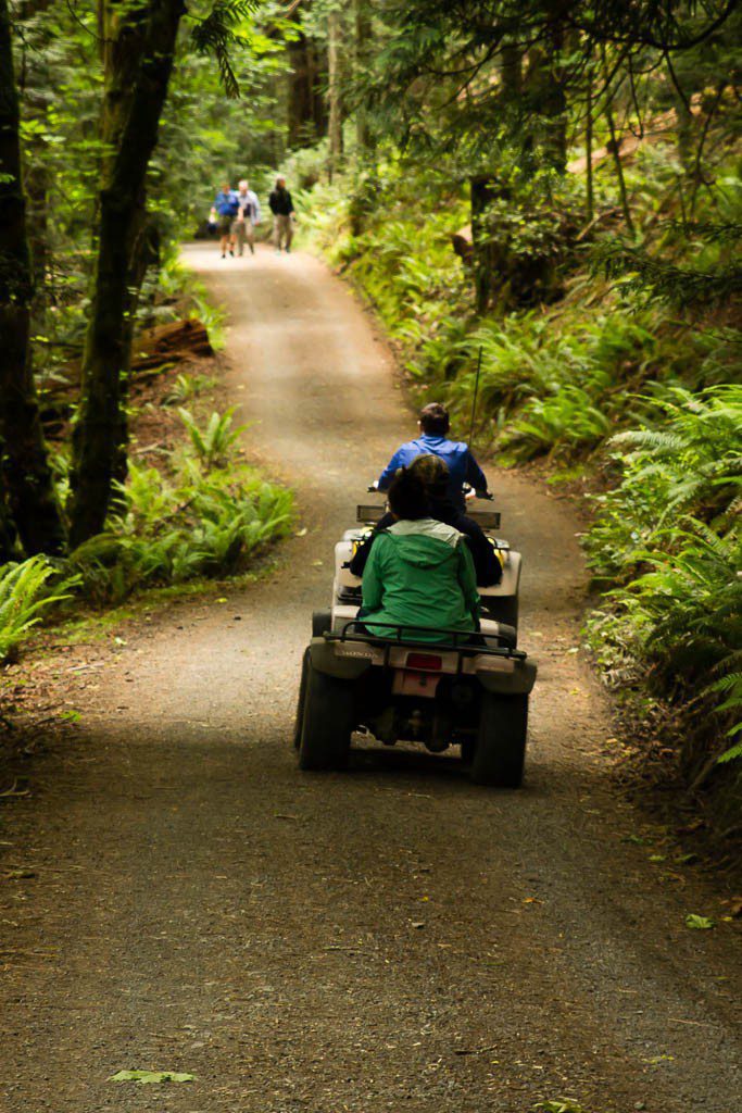 Traffic jam on Stuart Island.