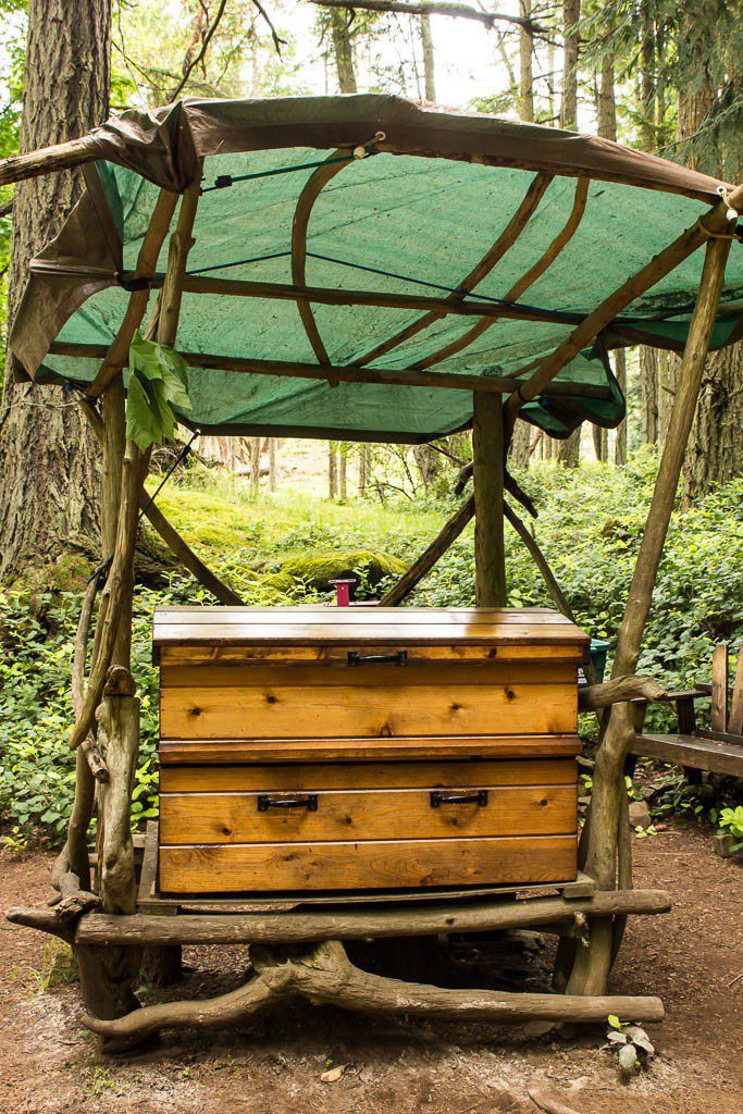 Everything is kept in this neat little treasure chest in the woods. 