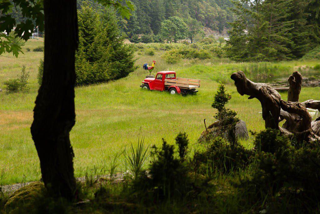 Pretty old Willys truck. I think this one runs just fine and is parked out there for dramatic effect. ;)