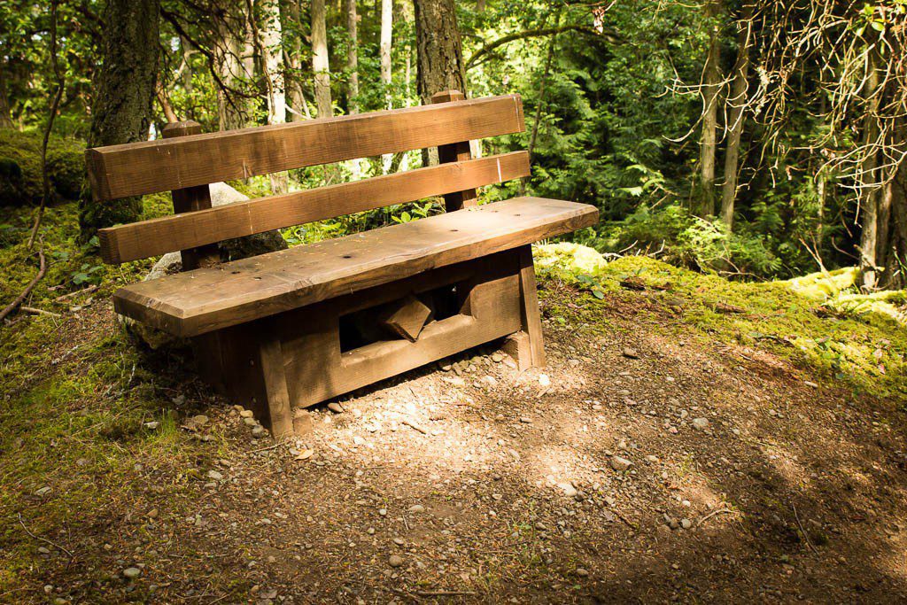 A bench. How thoughtful.