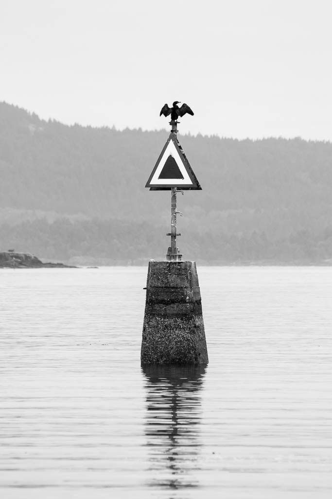 Bird sunning itself on a channel marker. Almost looks like a giant bat. 