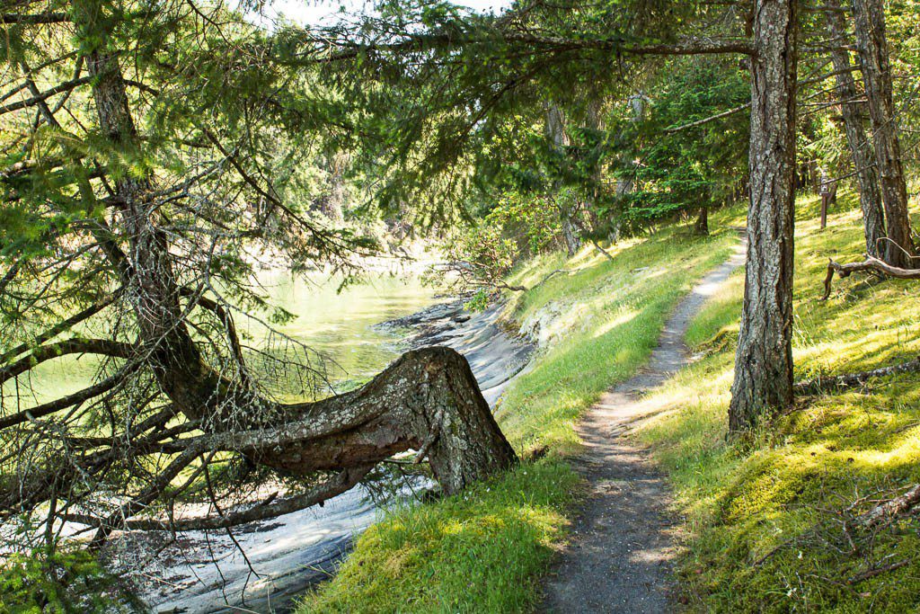 Beautiful wooded hiking trails