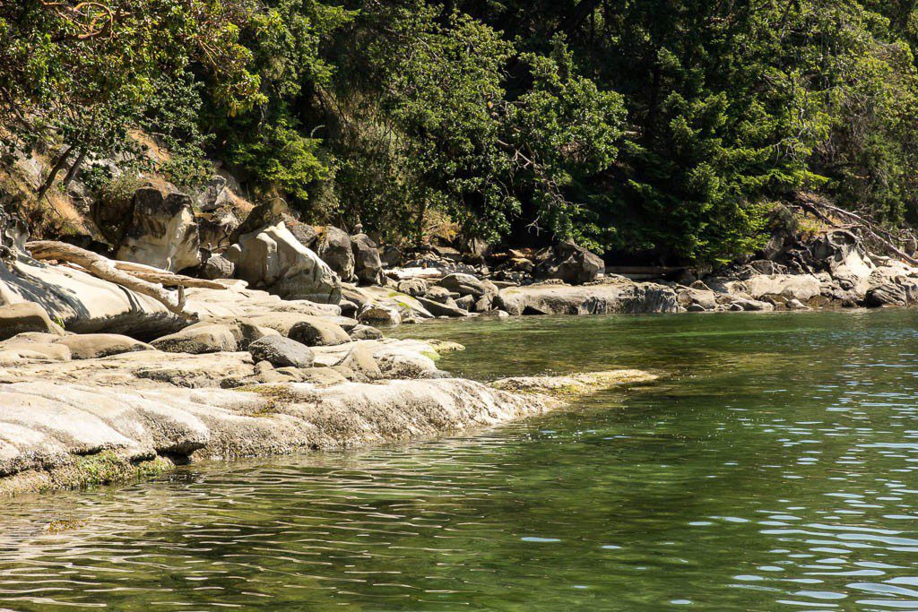 Look how clear that water is!