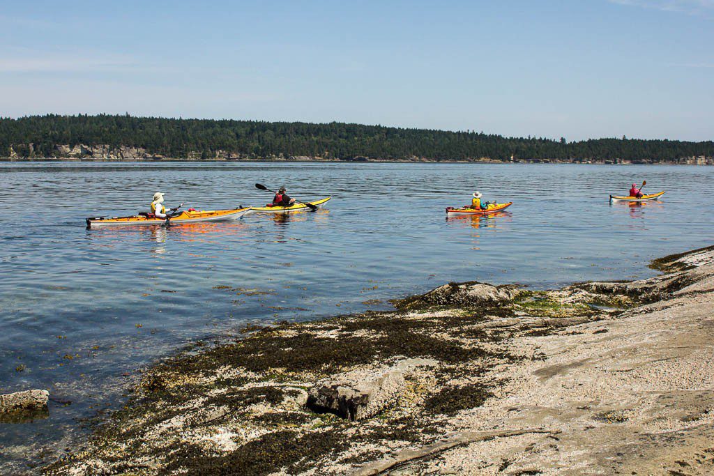 Lots of paddlers out today