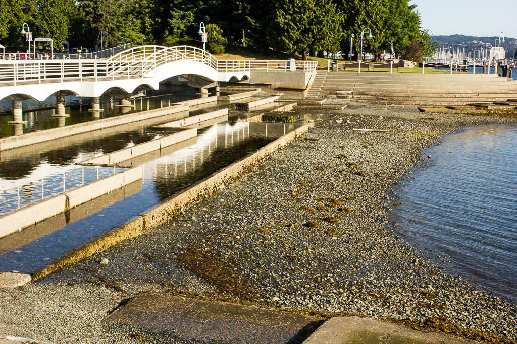 Small dams to create a swimming area on the other side