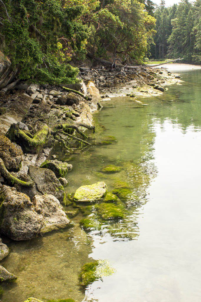 More super clear water