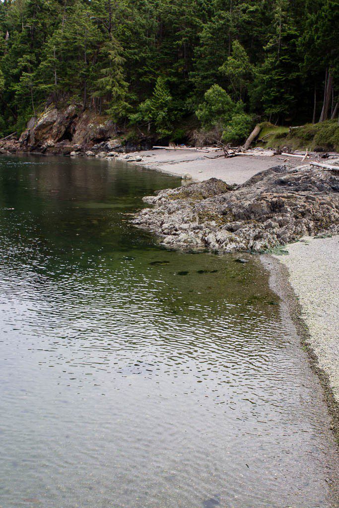 Super low tide today!