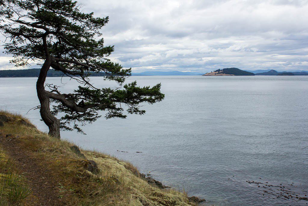 View out into the open water. 