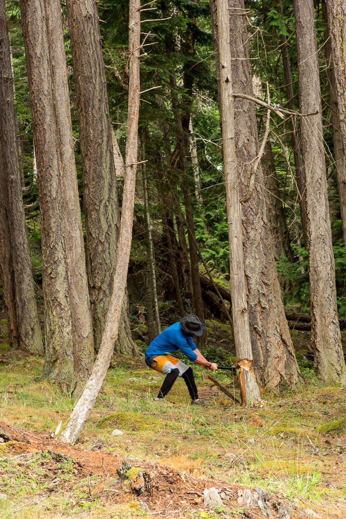 Guy randomly cutting down a tree. mmmmmkay.