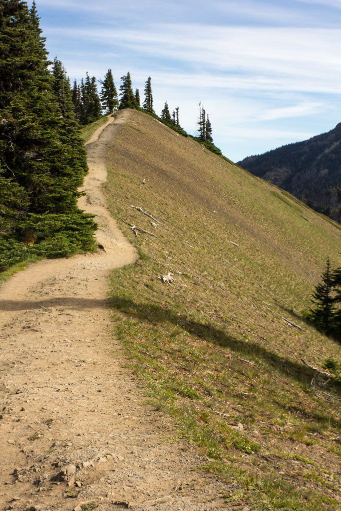 The main path up the hill