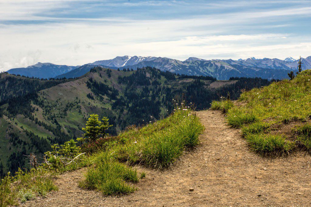 Trail off the edge