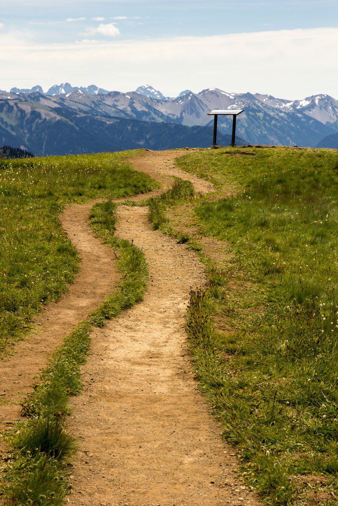 Trail to the viewpoint