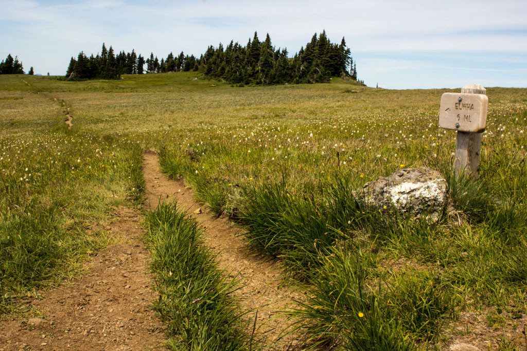 Elwha Trail