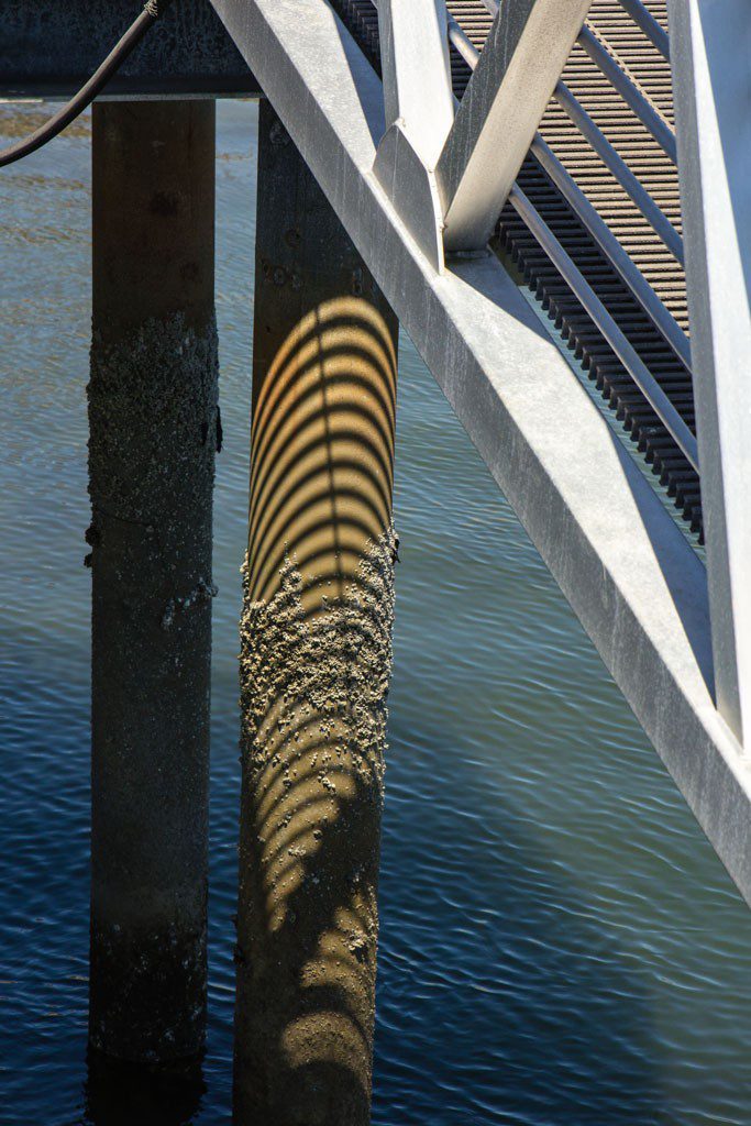 Fun shadows on the piling.