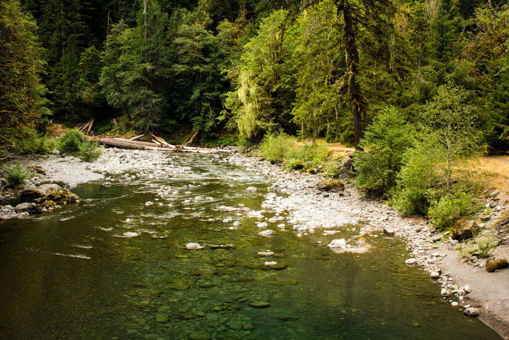 Skokomish River