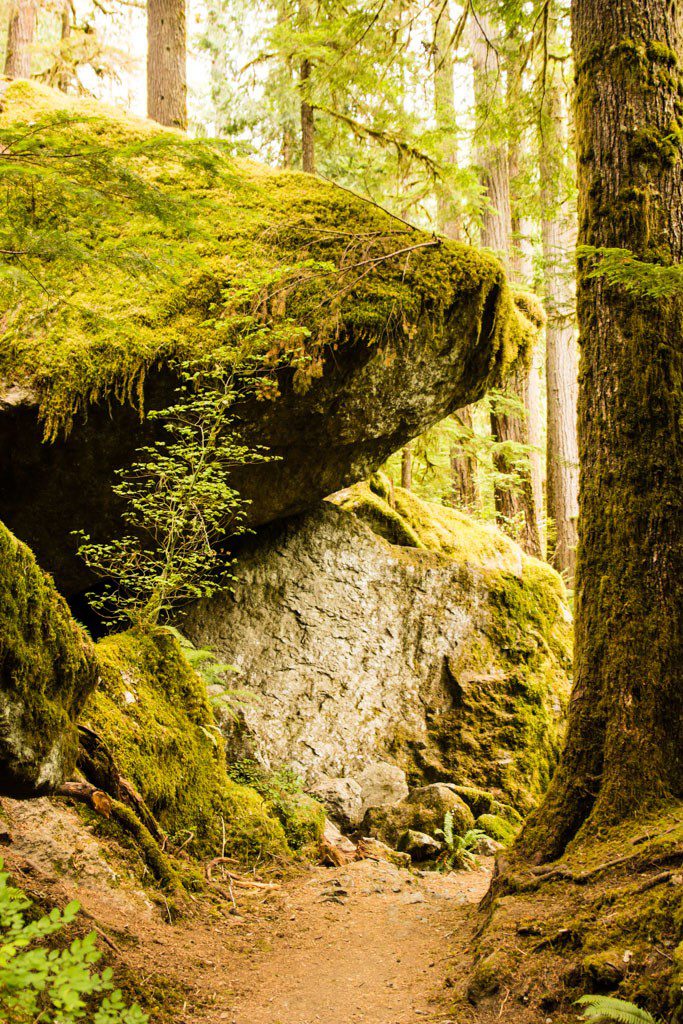 Boulders to climb on