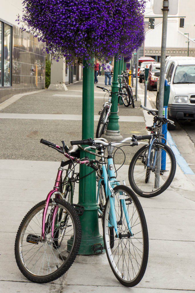 Lots of people bike as their main mode of transport here. 