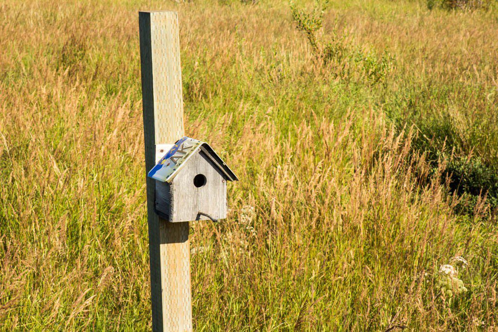 Bird house