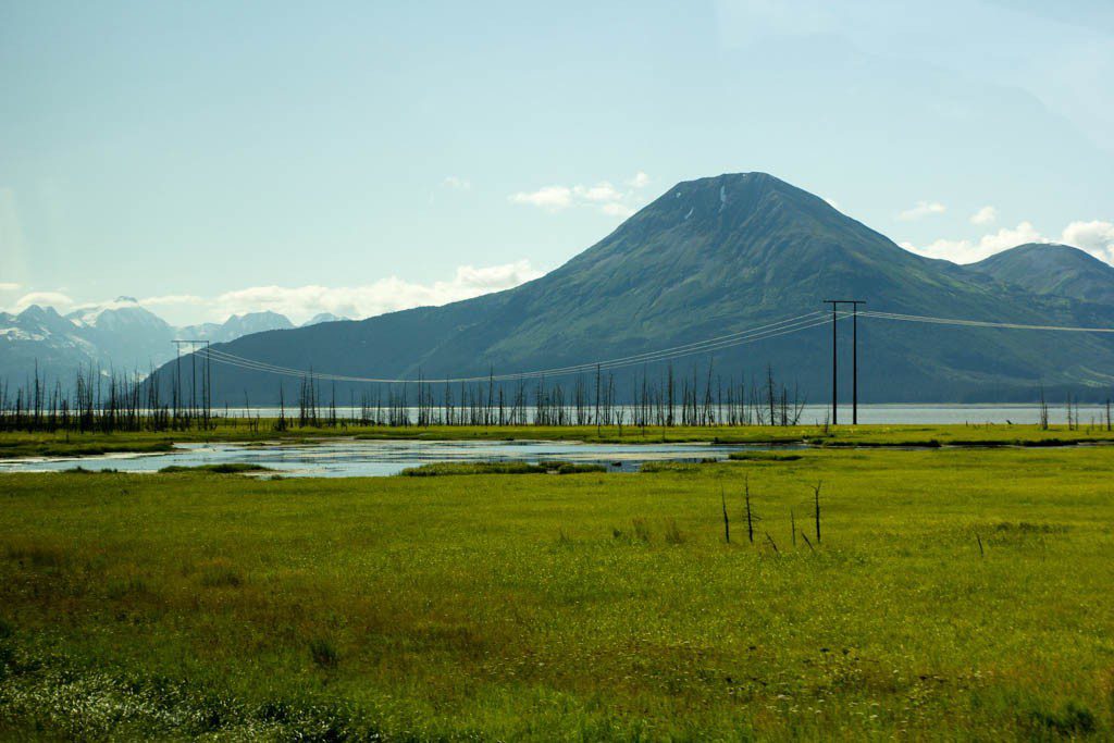 This area was flooded after the big earthquake of 1964.  Saltwater essentially pickled these trees so that they're still there, but they're dead and won't rot. 