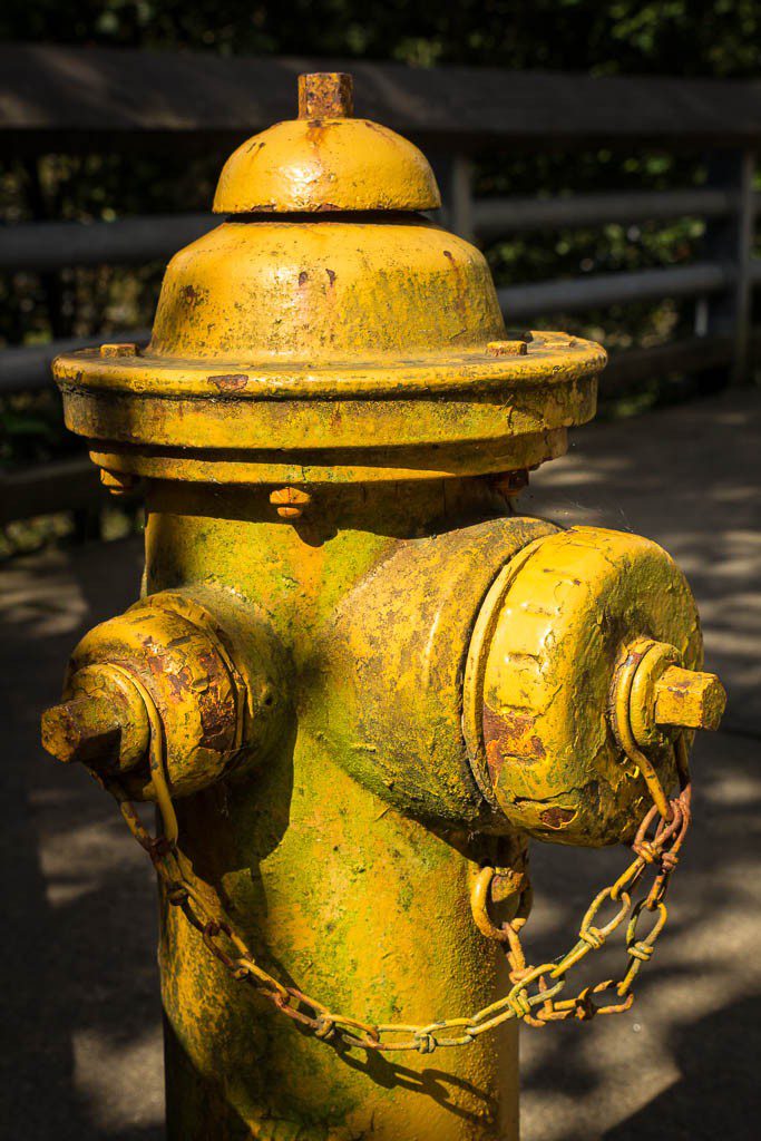 I also liked the colors on this fire hydrant