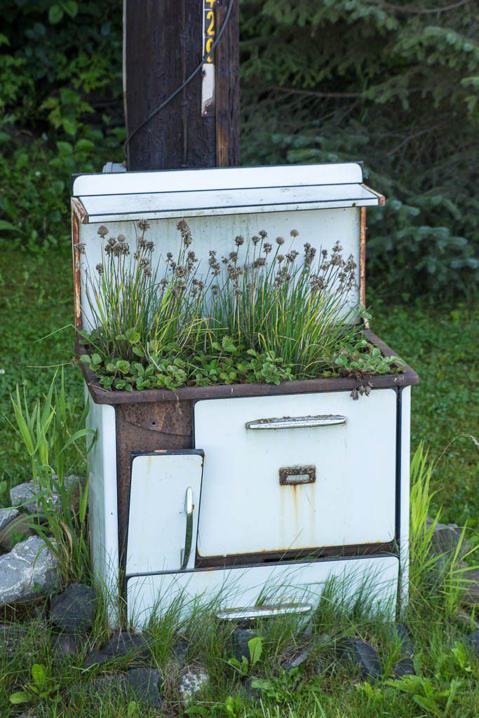 Nice planter. Reminds me of the guy down the street from my house with the old toilet that has daisies in it.