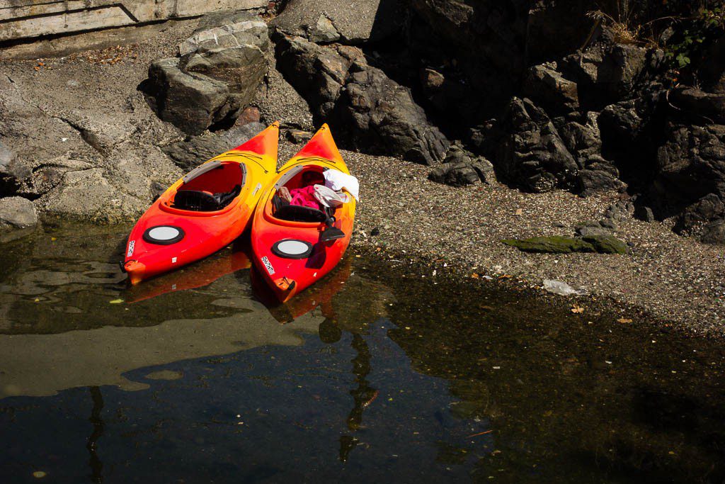 Kayaks from one of the many marinas