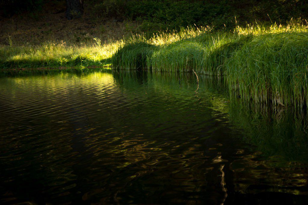 Sunny reflections