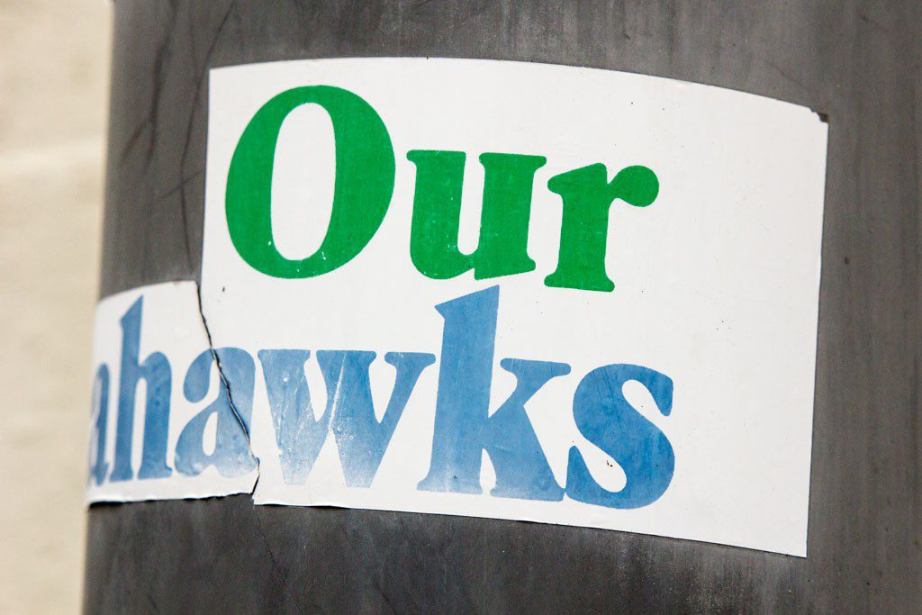 Our hawks...